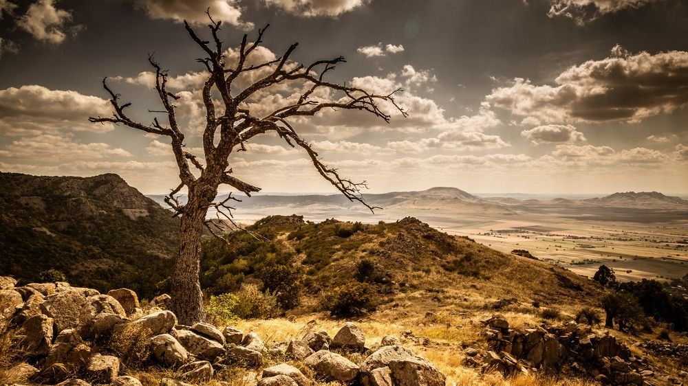 Photograph by Florin Ungureanu