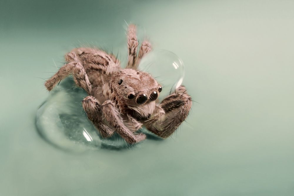 Photograph by Maryam Jassim