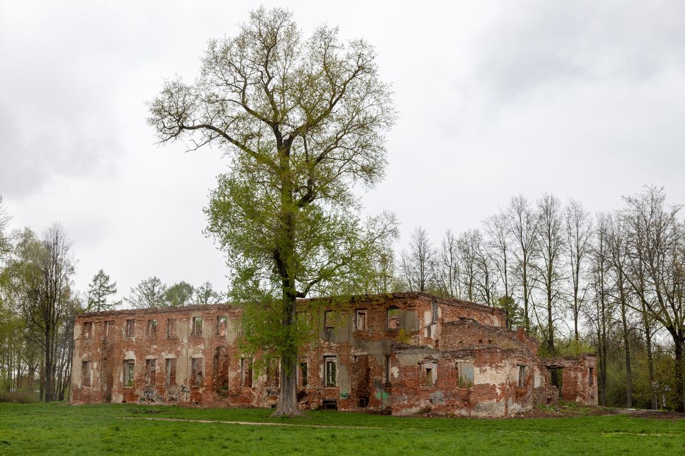 Photograph by Илья Сторожко