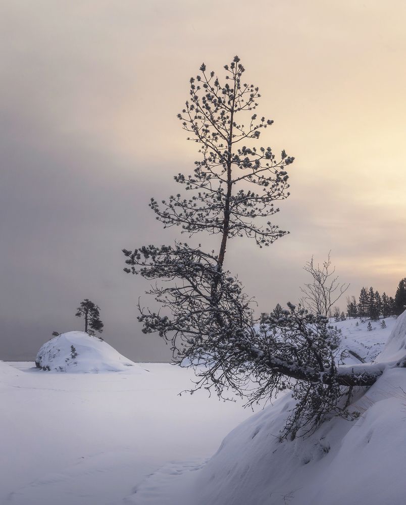 Photograph by Грамаков Юрий