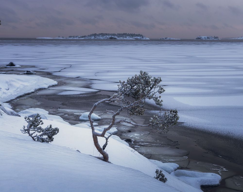 Photograph by Грамаков Юрий