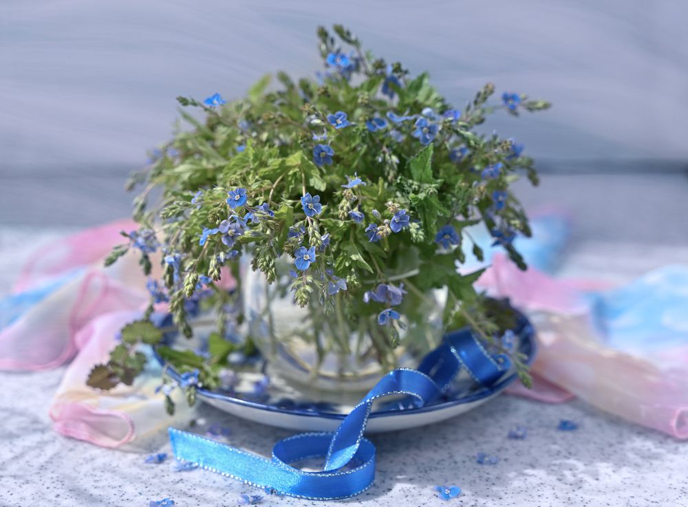 Photograph by Inna Ivanova