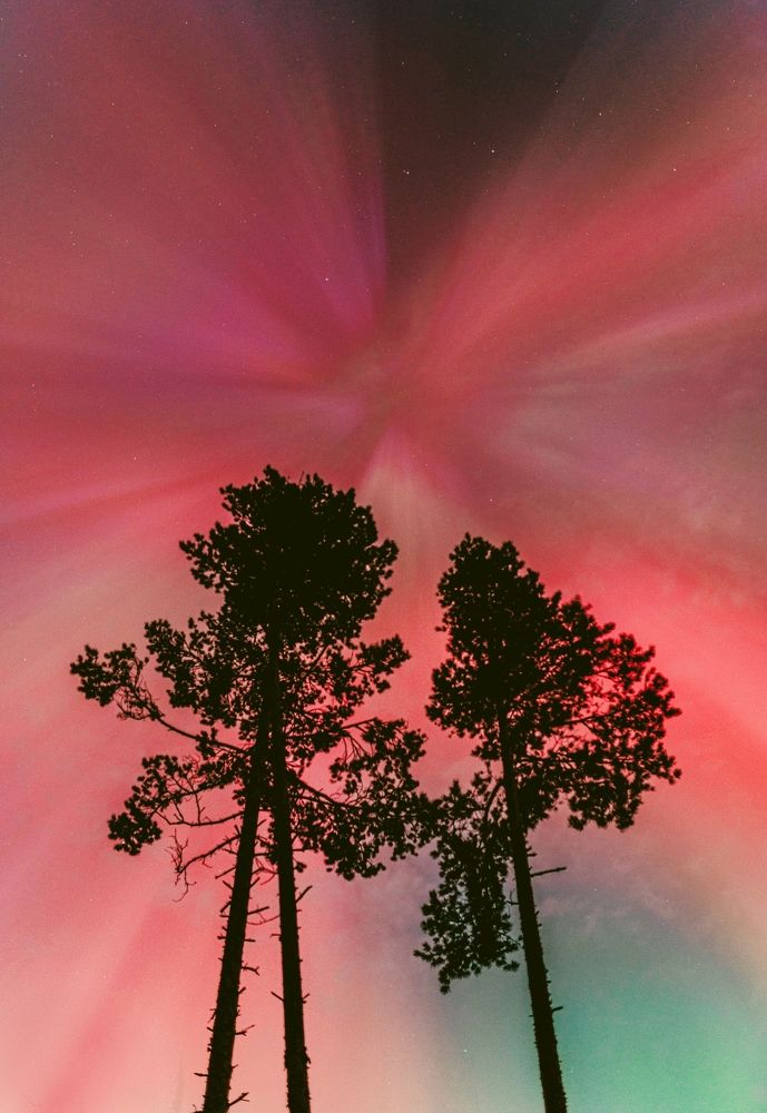 Photograph by Ольга Леонова