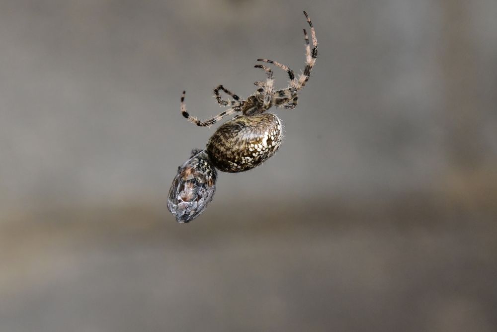 Photograph by Светлана Ивановна