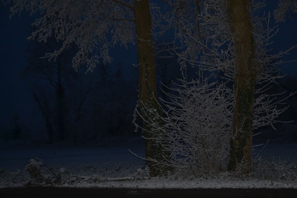 Photograph by Николай Виртос
