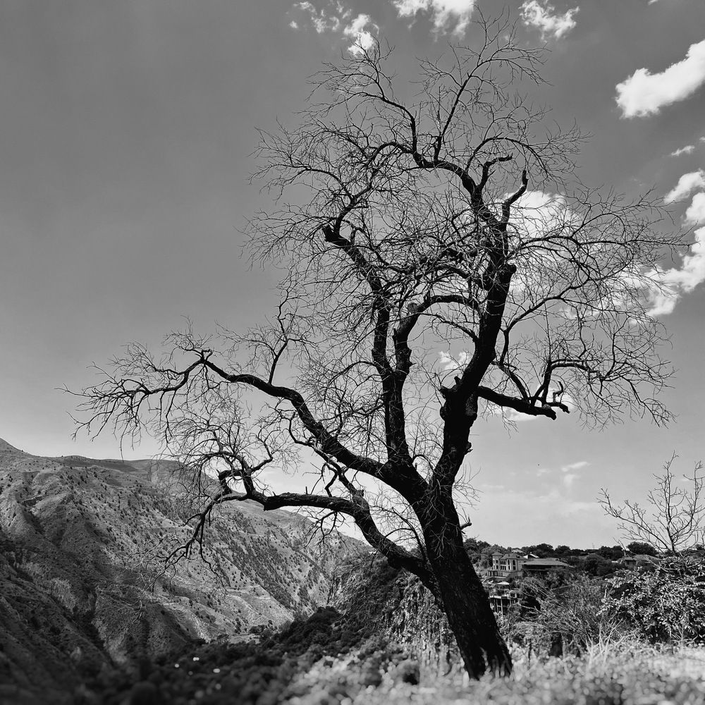 Photograph by Макс Спицын