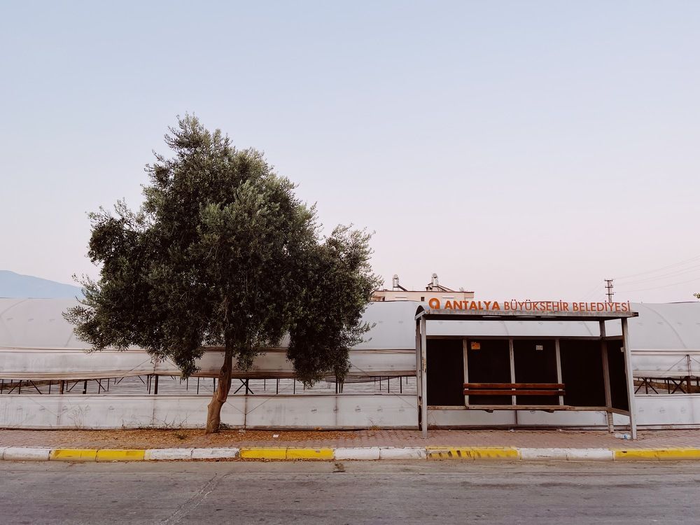 Photograph by Макс Спицын