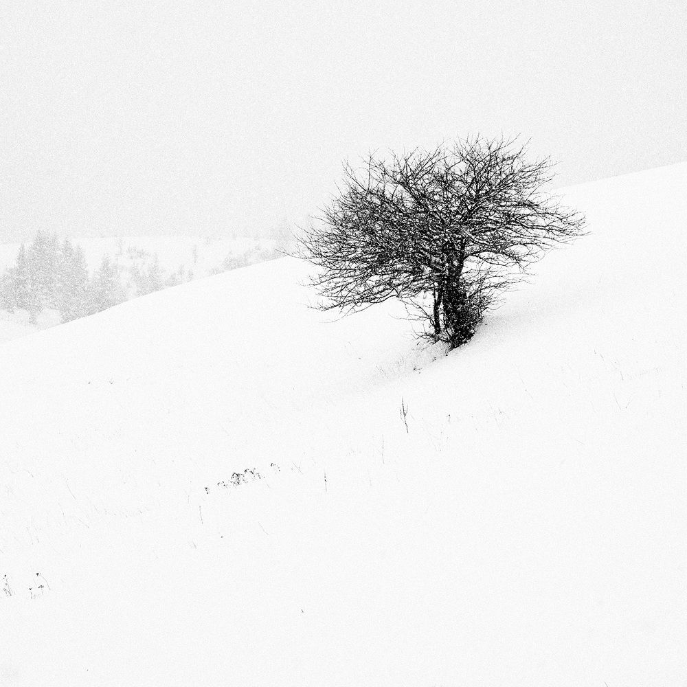 Photograph by Ivan Stojanovic