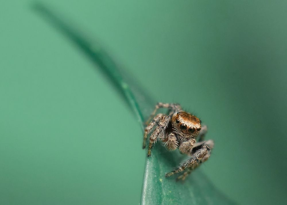 Photograph by Олег Тыркин