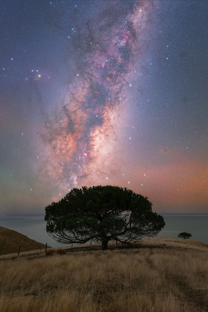 Photograph by Bikram Ghosh