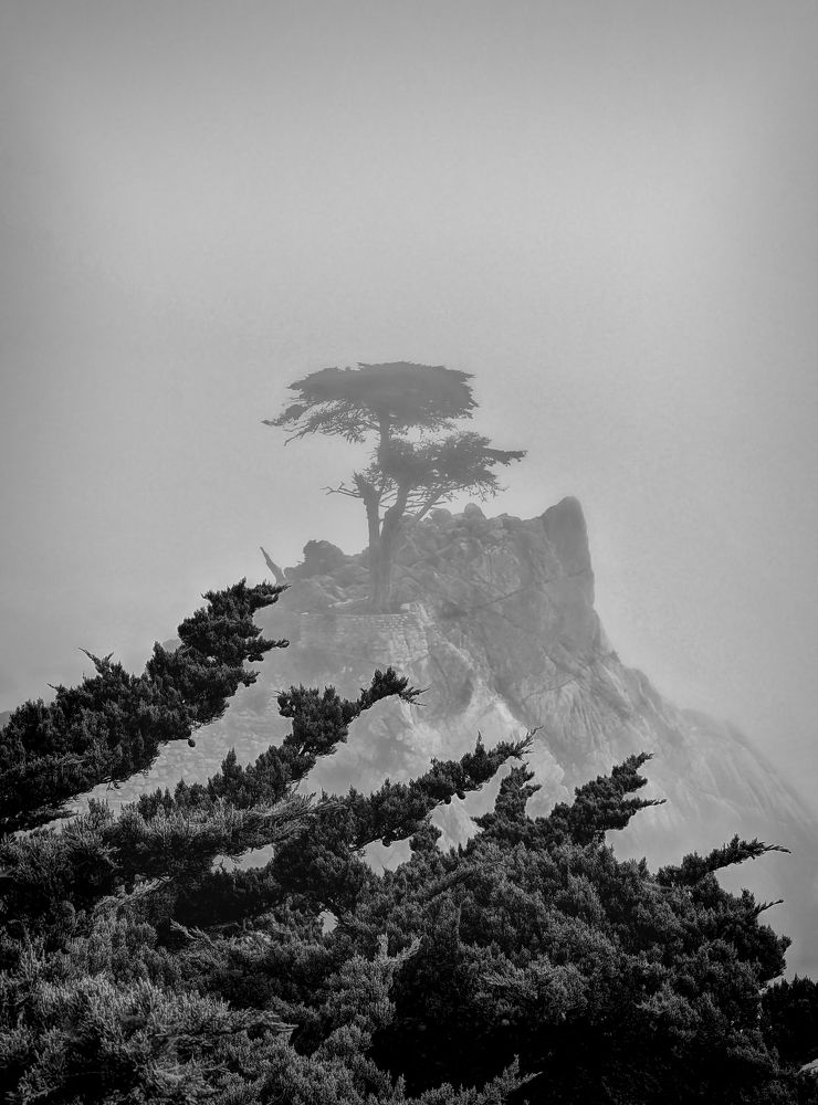 Photograph by Oleg Ы