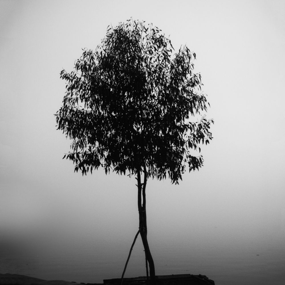 Photograph by mohamed