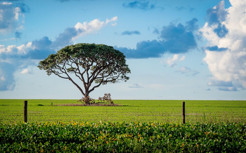 Фотография автора Maichel de Paula