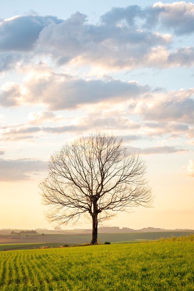 Фотография автора Maichel de Paula