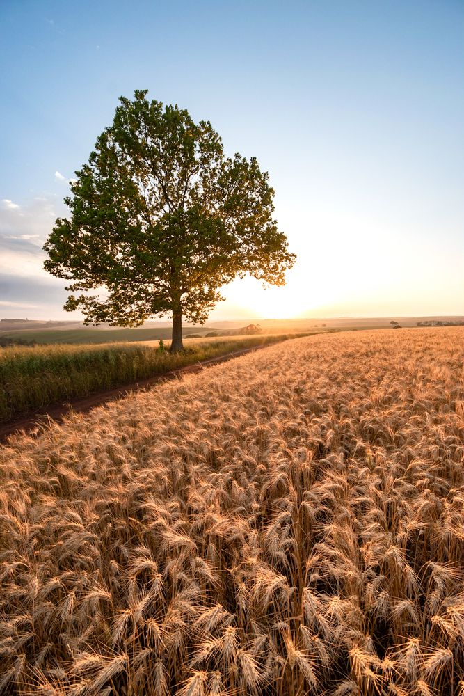 Фотография автора Maichel de Paula