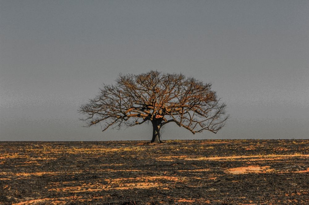 Photograph by Régis Santos