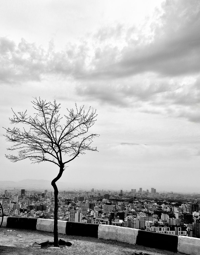 Photograph by maziar zahmatkesh