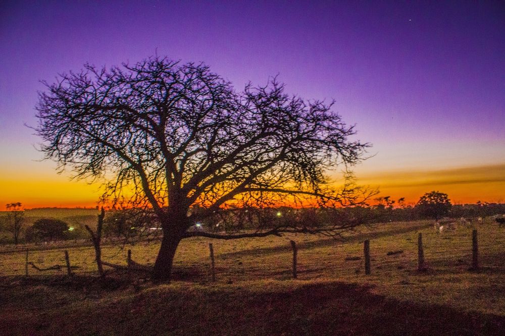 Photograph by Régis Santos