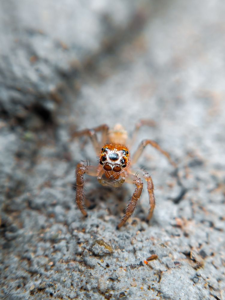 Photograph by Javier Hernandez