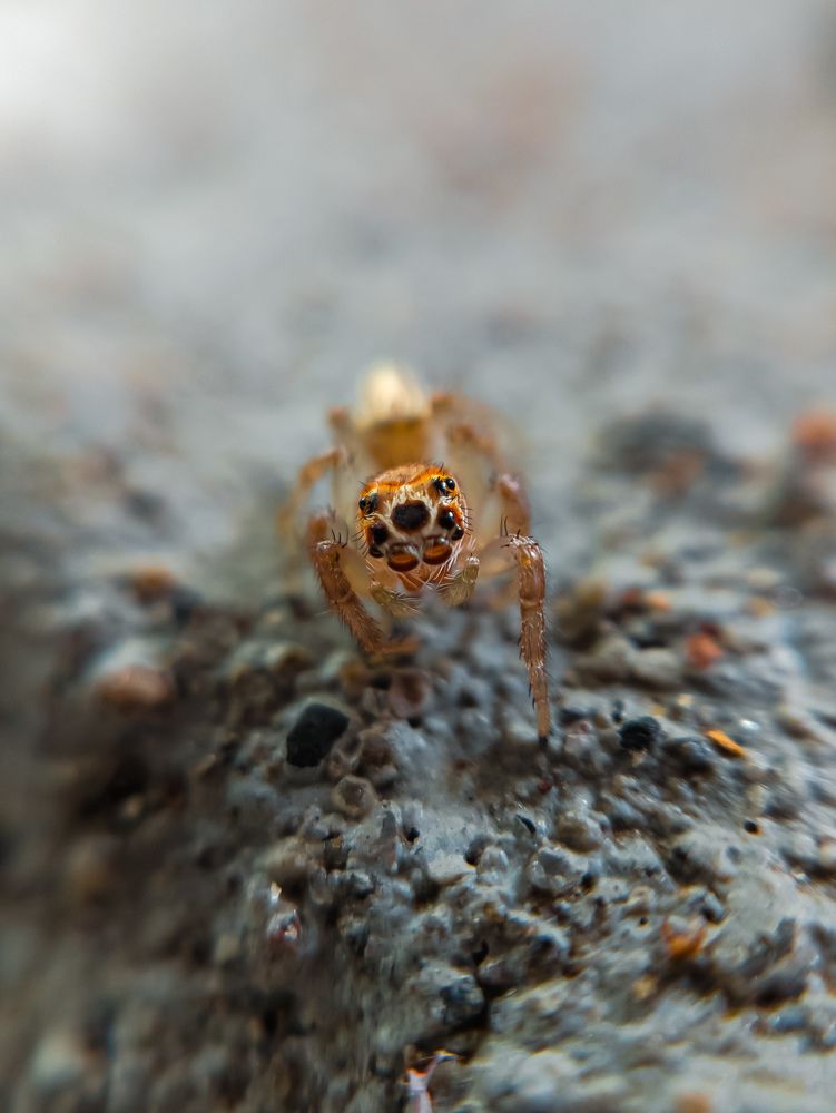 Photograph by Javier Hernandez