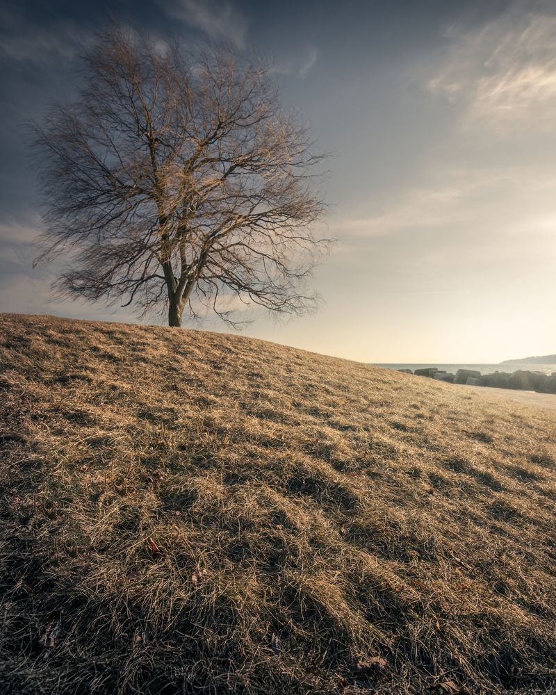 Photograph by David Hill