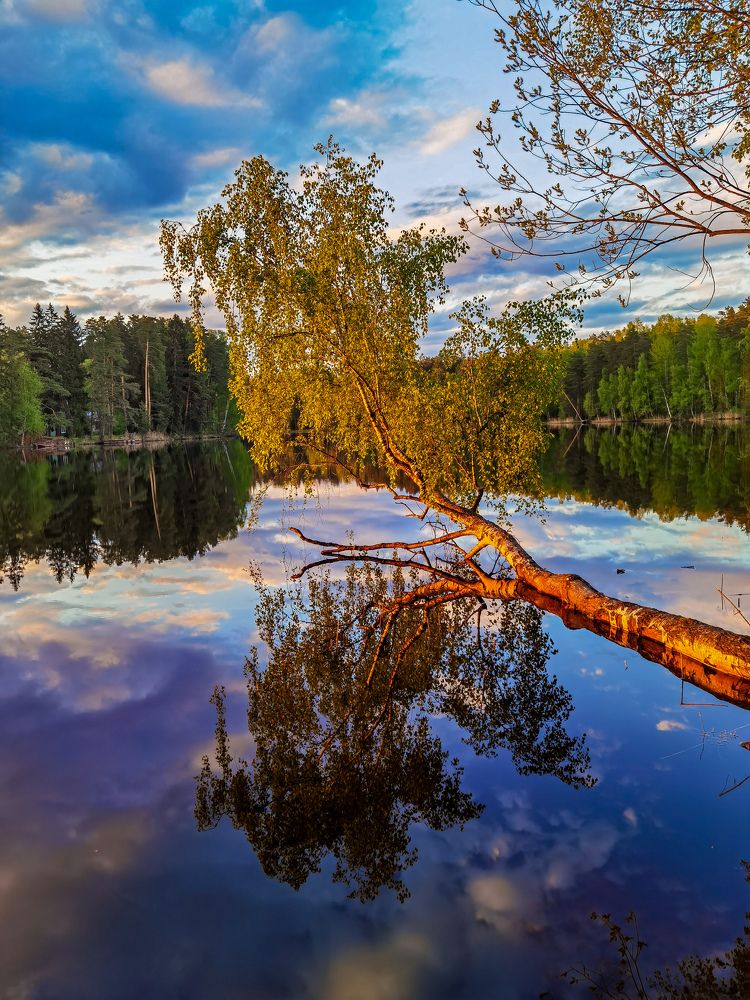 Photograph by Влад Апанасов