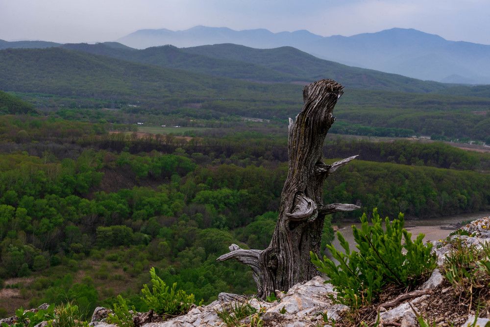 Photograph by Константин Костин