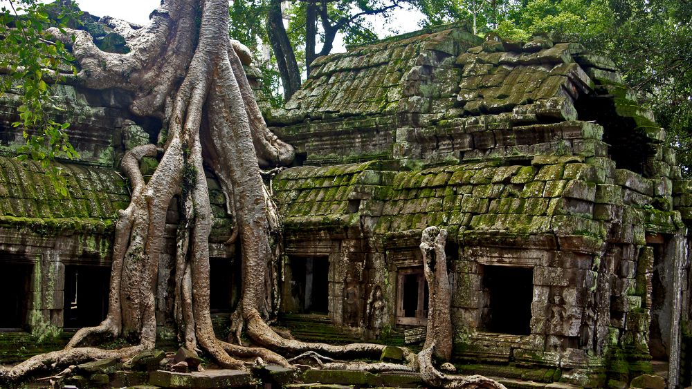 Природа берет свое