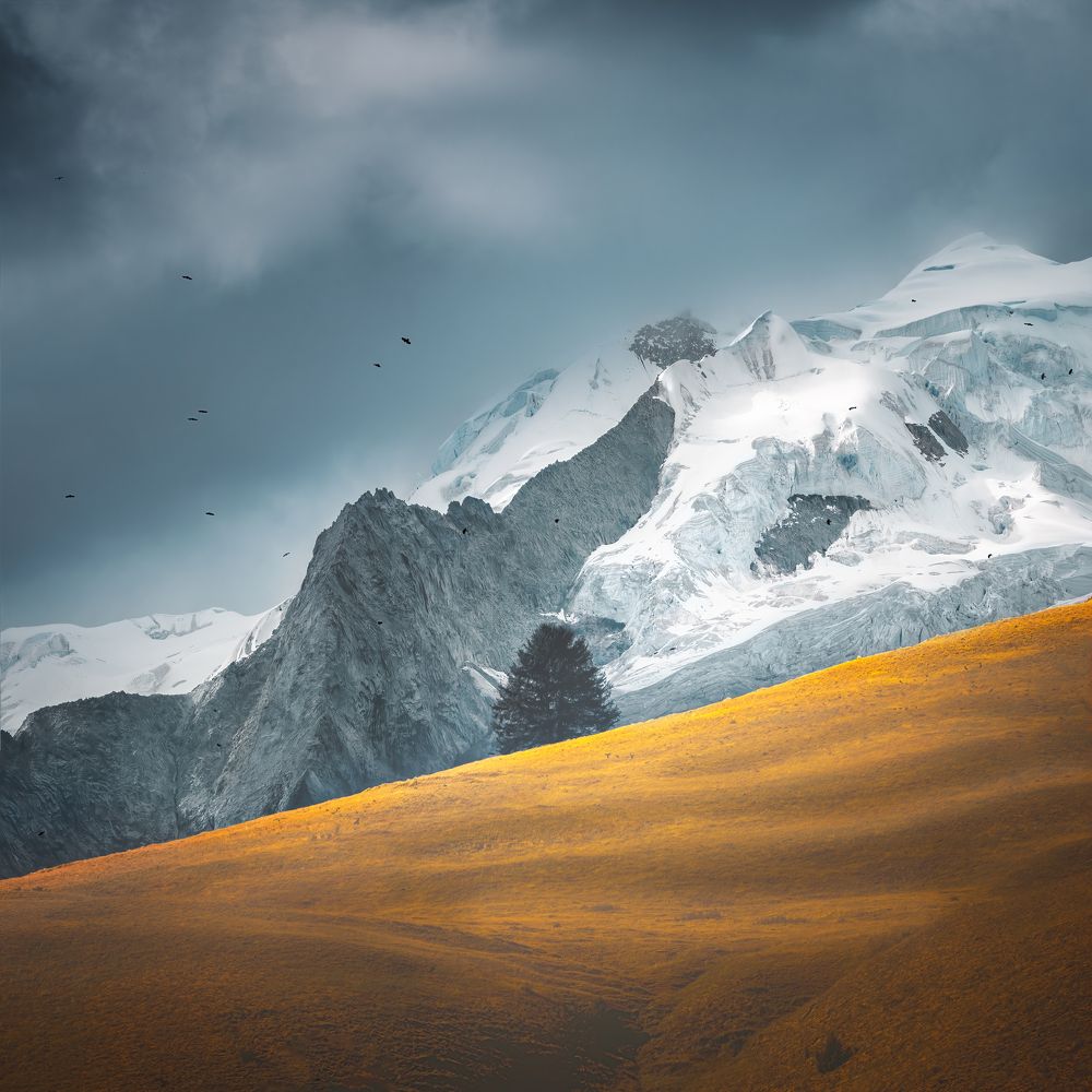 Photograph by Allen tyc