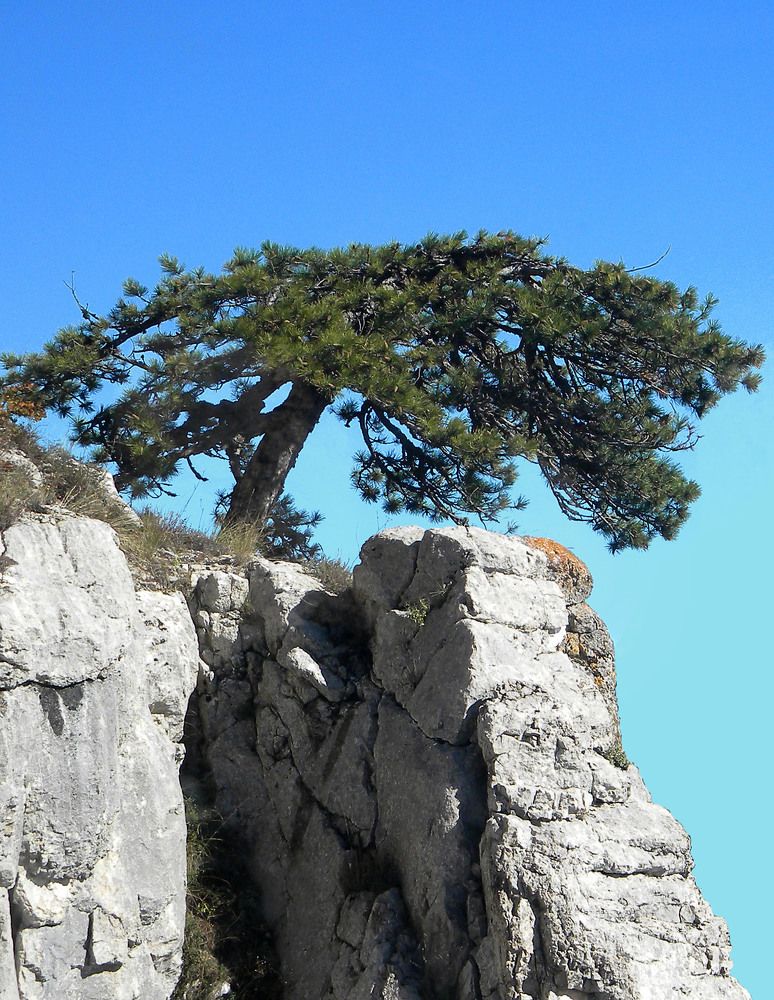 Photograph by Савоцкий Роман