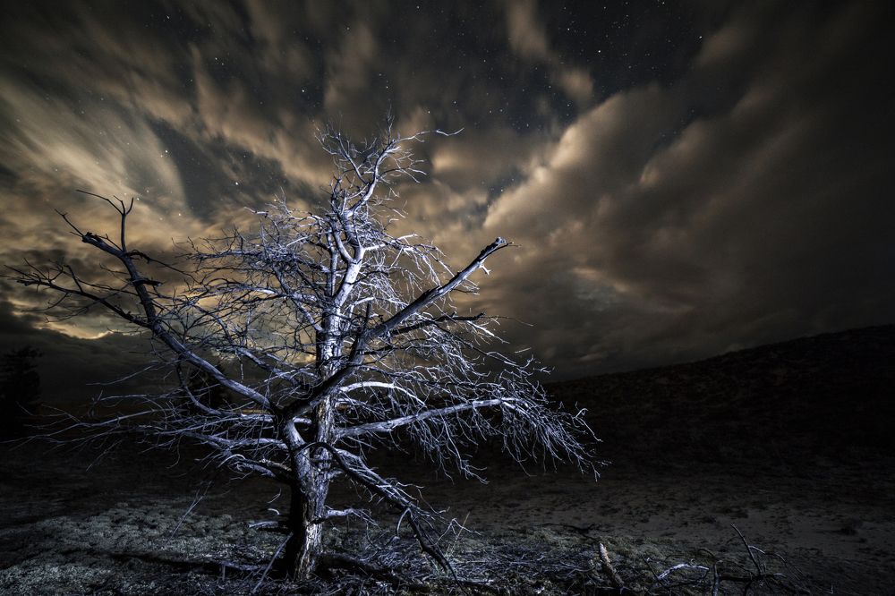 Фотография автора Лариса Кисурина