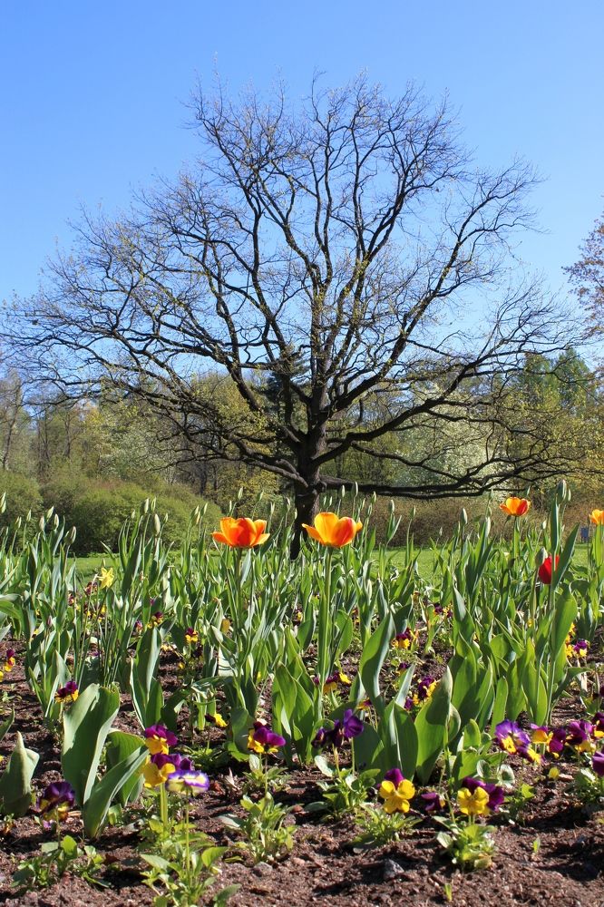 Photograph by Olga Bagaeva