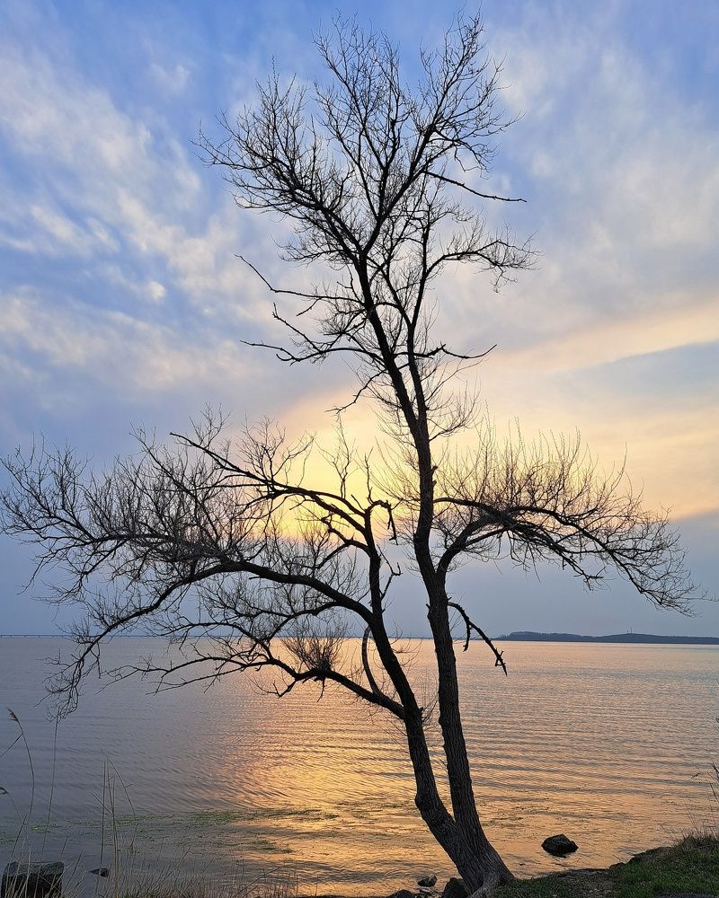 Photograph by Оксана Юдина