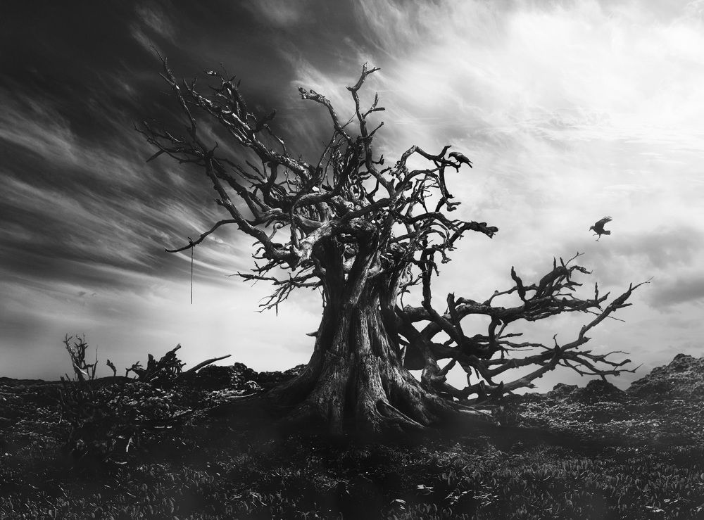 Photograph by KAWAKAMI KAZUTOSHI