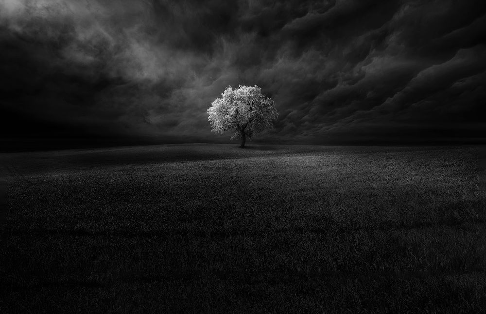 Photograph by KAWAKAMI KAZUTOSHI