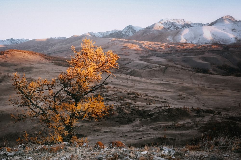 Photograph by Tatiana Meshcheryakova