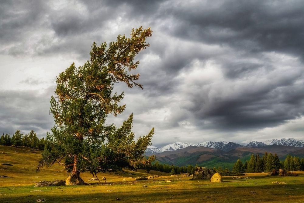 Photograph by Tatiana Meshcheryakova