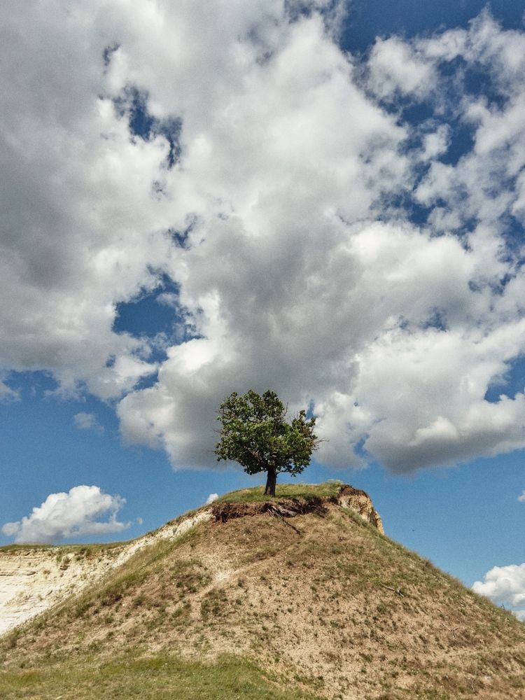 Photograph by Дмитрий Будылин