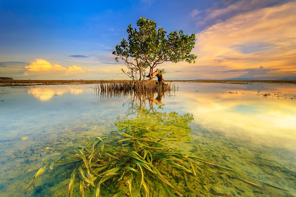 Photograph by Reginald de Guia