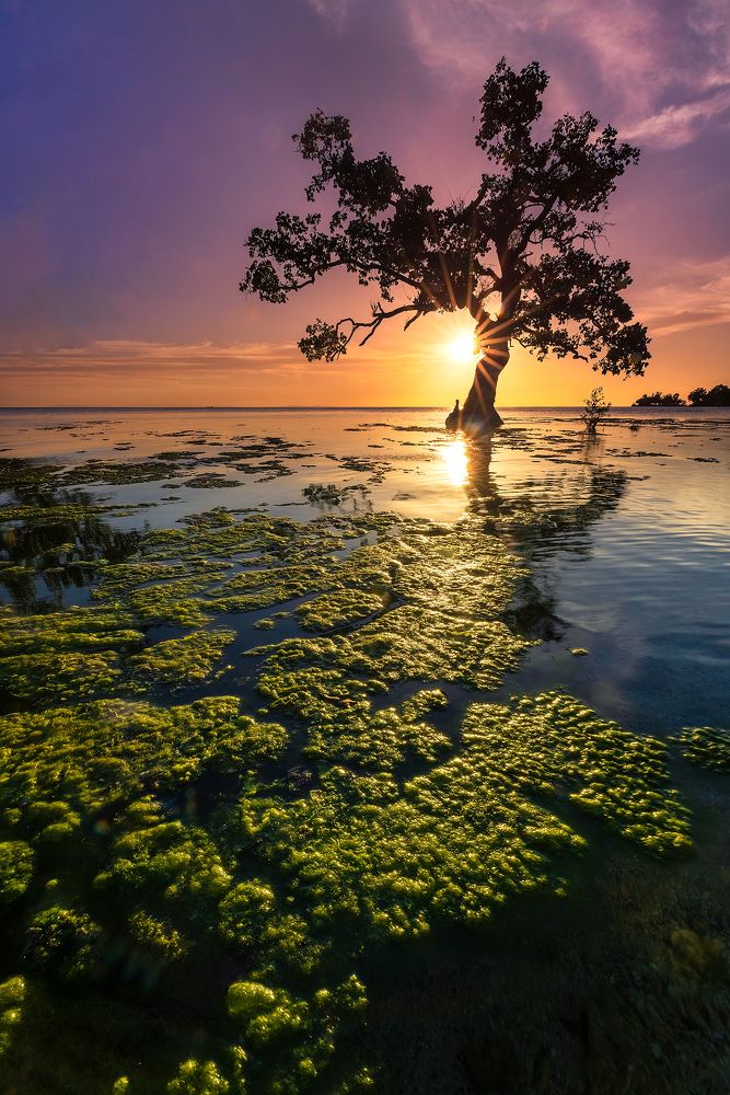 Photograph by Reginald de Guia