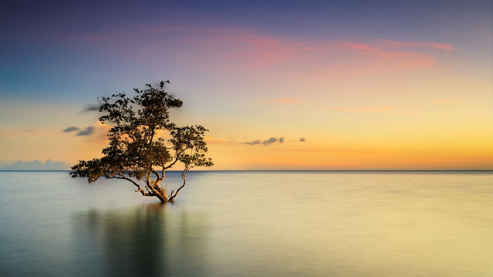 Photograph by Reginald de Guia