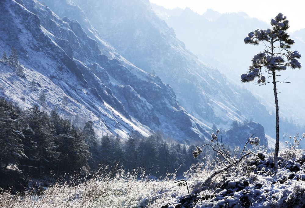 Photograph by ИРЕНА Цурпал