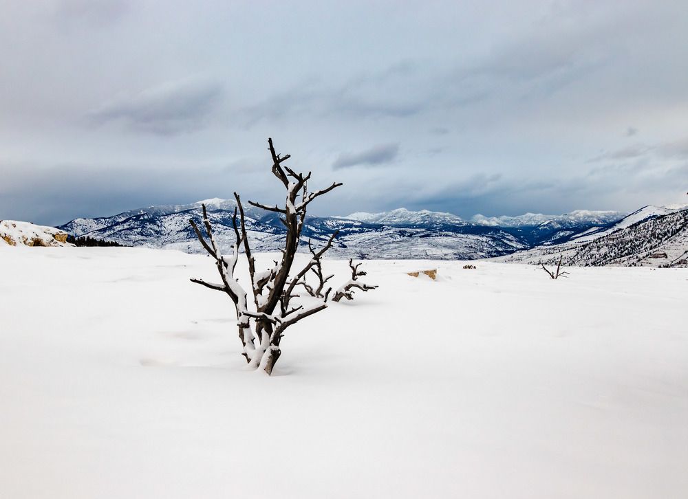 Photograph by Анатолий Костерев