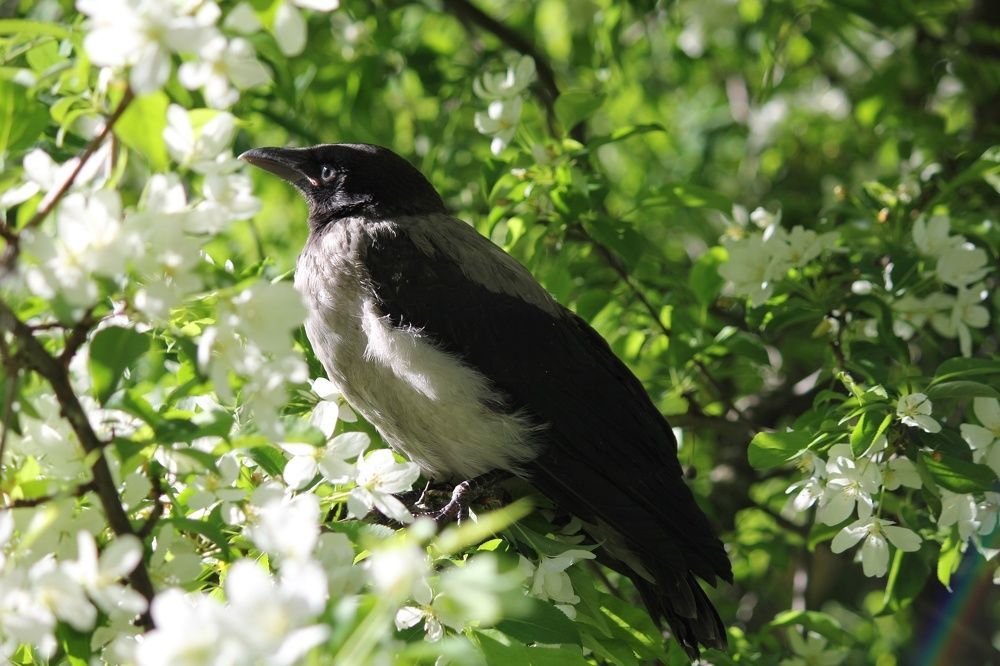 Photograph by Мария Ганицева