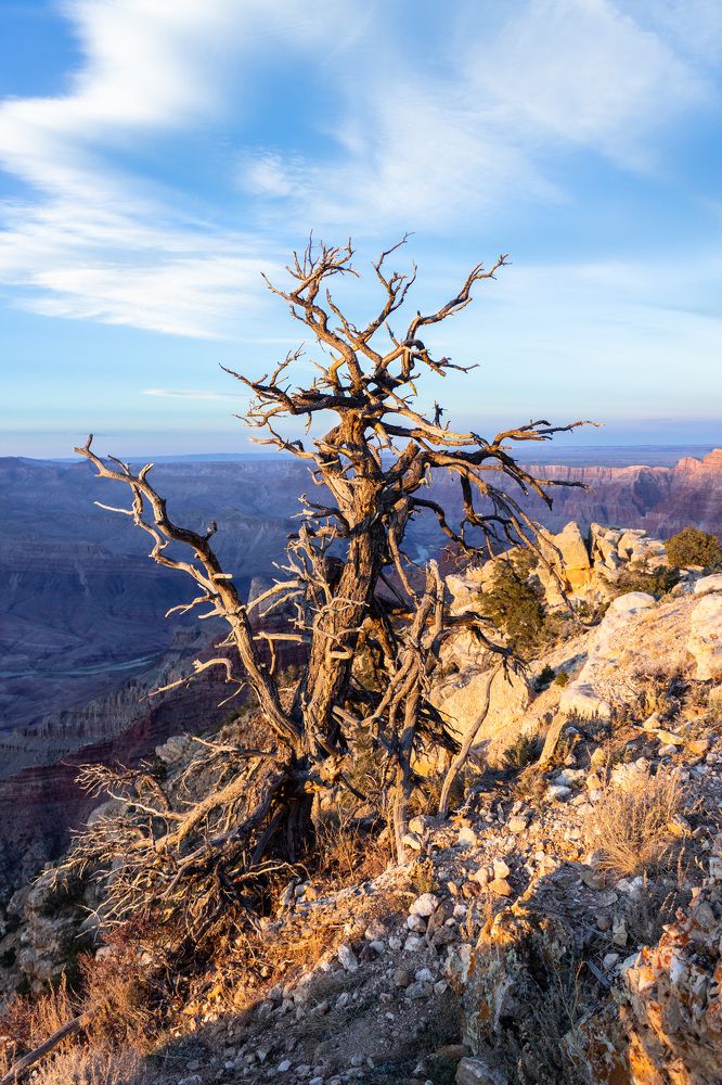 Photograph by Анатолий Костерев