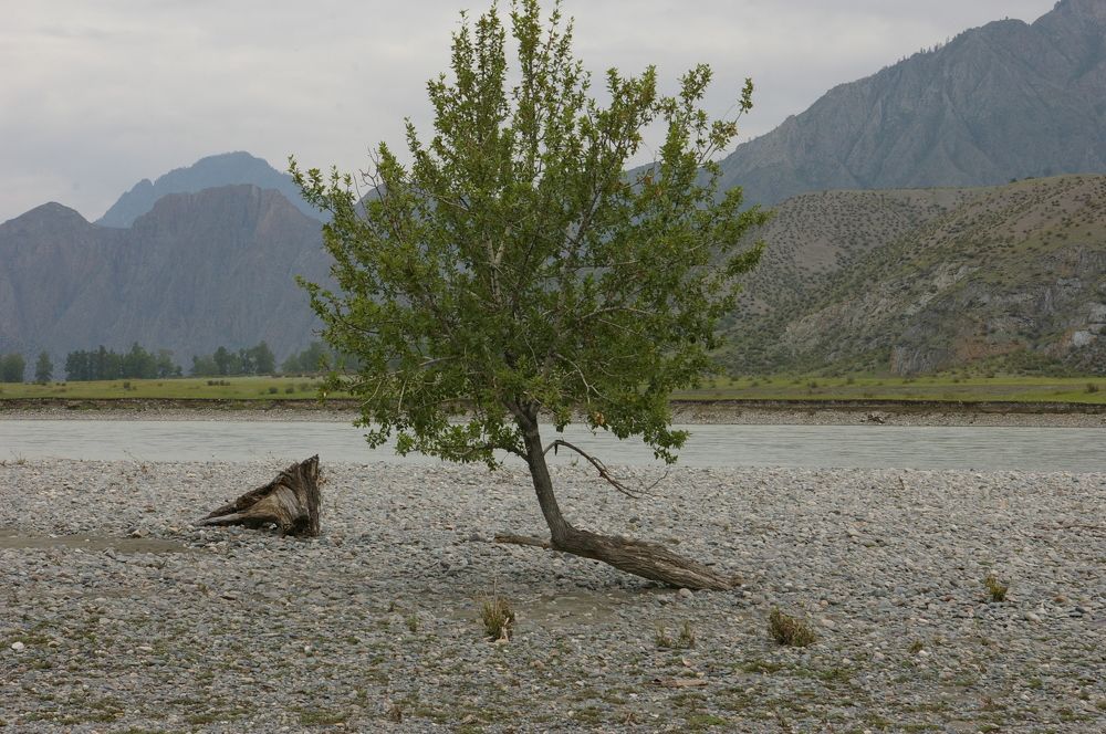 Photograph by Елена Алешкевич