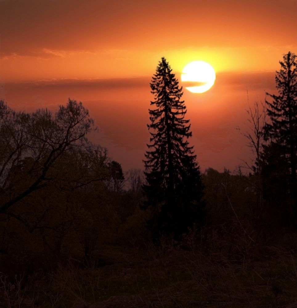 Photograph by Наталья Соколова