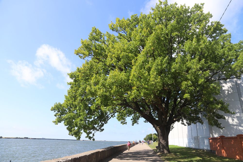 Photograph by Елена Тимченко