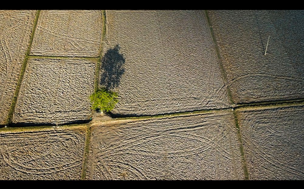 Photograph by Nguyễn Hà