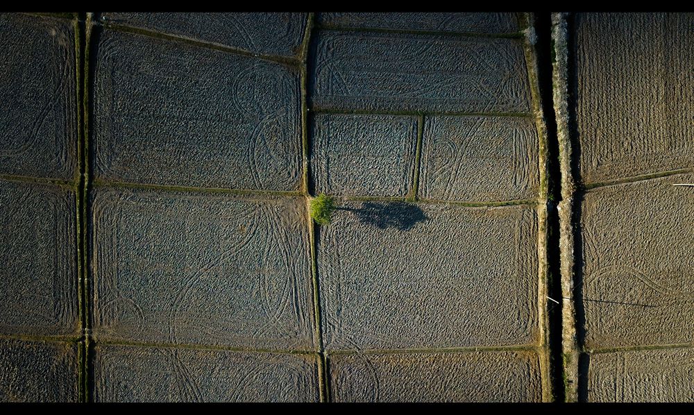 Photograph by Nguyễn Hà